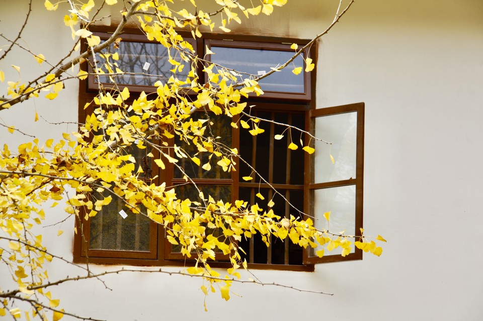 7T7ShUL6N-e1VdTrAWfuZpQbDr07Cp_b2cyoBy5s8L-INoV36QHYwCo0Jwtp-4ky