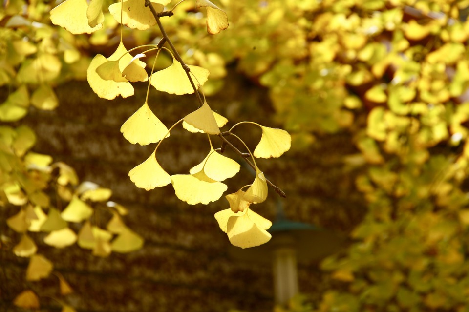 hN9sNTtaqa36SRUmYNjDF1yaF5YtccIz1awM2g08xkRMp22E9pauPutBh5zKIV_j