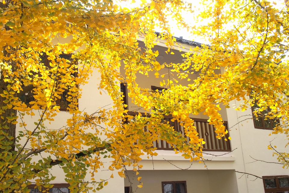 -hoax4WPuuuUWafz6mFqNFV8Epe14_1uXQZOotBYWQQpmR2SqDoTqk5qYb478fJ4