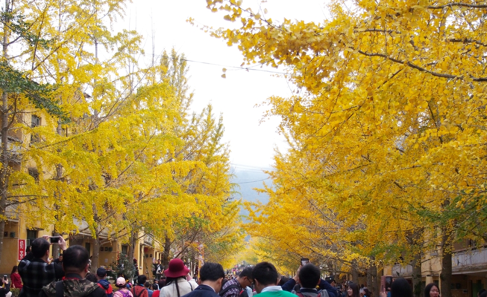 Be8o8D4mH1SJQMT_u6UqUhXu75Wwe_HuiBuXjj--qjHfJhX8Nk9RqdagXys4ea4J