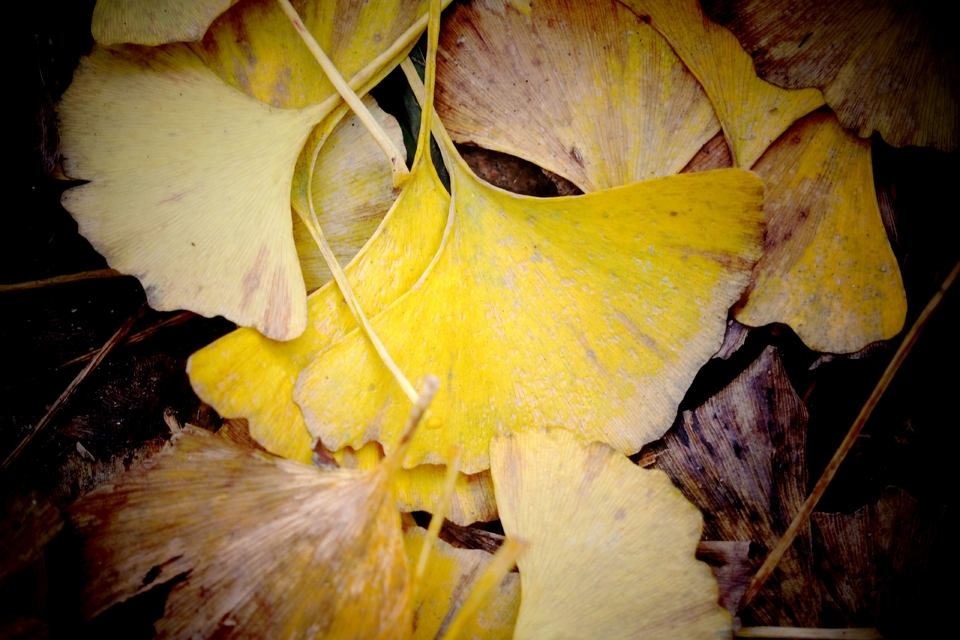 cptV_2my1VpILg4aW0HvRLZqLdnGJmRMkngnOdfs76-bqQbLWKWMRbjk3ggPMJ6O