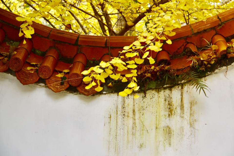 qvrzXiRoZL8_2cuCbQQ6u6gS3J0VY77e03tA5oSfNxwH-CeIaYulhHzPpLAf4jaM