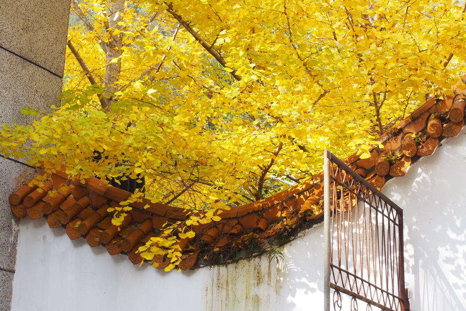 3j79XitDfVfDYF25mnS8PTHro1CzgtfmFrAoMZ5geA-jR1K1mpU2aQSXhWrY6aPi