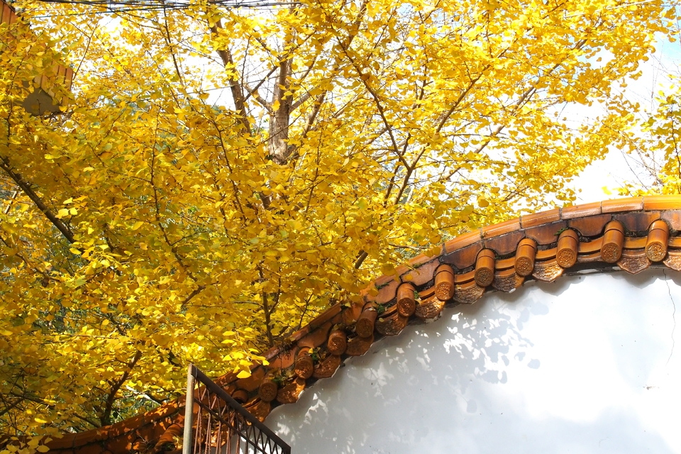 QuTpXfDX1BQD2yQ-v9dog99-WRWwnBo2DuVwuR5J9RT2FqJSqmgf_1c5QwD3HeJW