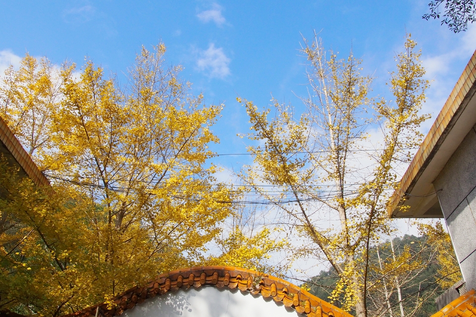 amjNc1DBv1G-DRDgty2WpCn8WaKXHcb5EQ-tfp29ztMGj1MW6L2foUv3Q2V0eatc