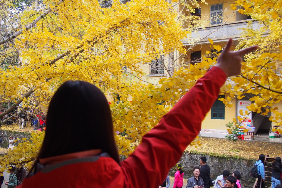 Zpdxs7ukdGFkmoj6EoZFRzoMKe2C5XlKsraPzOq-JbcQ186_eKxqlpaifCkl-NyV