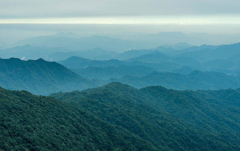 gsp_AdxVrAPqvb-daZUaANiM0BbWJZBgz2FdRzXAUxvasnjFIibiVVanOpBdfW65