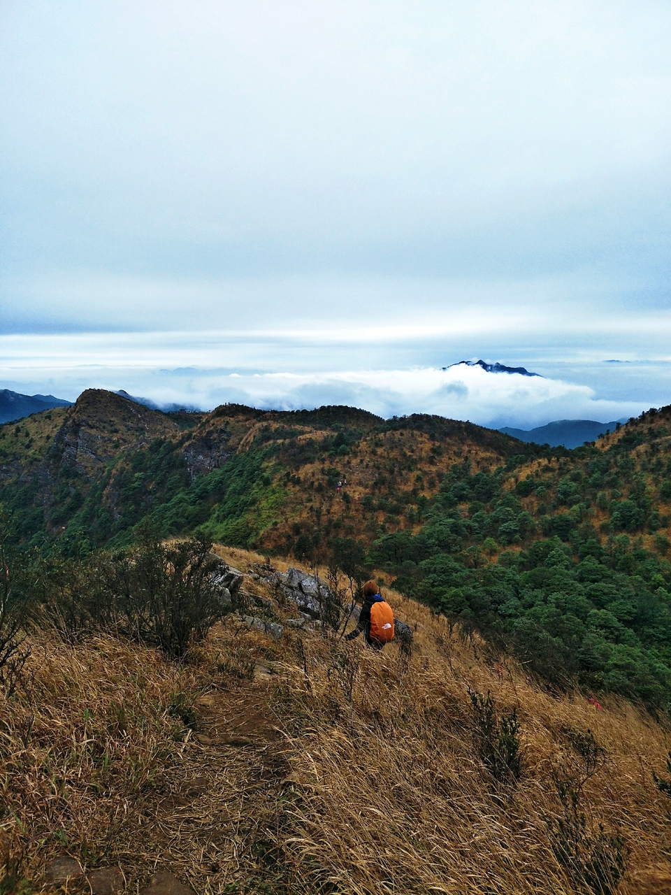 Y2agmTactRapCvHzn-vqaCXlxaGyybRTglG0Fu5UKZPTZ4tUYeXnnotI3tSvV2x_