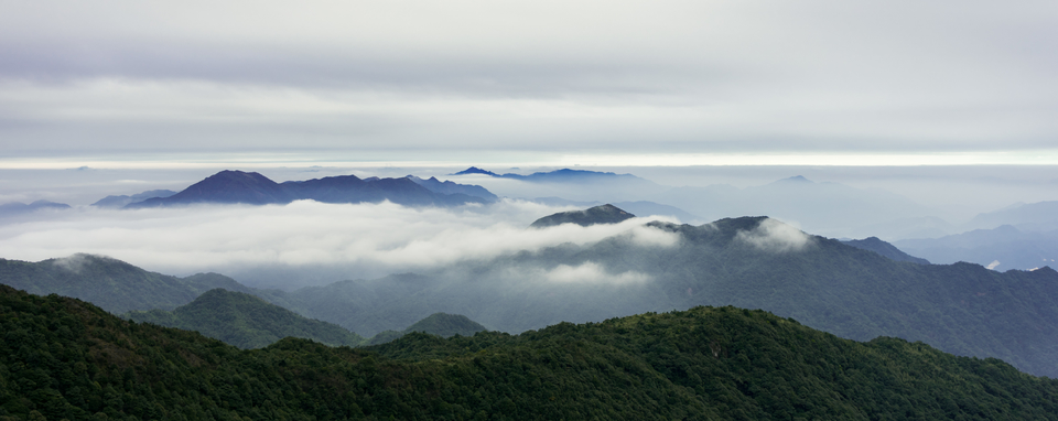 SUU64i9KOqu295EYawZO8alMIAyJZYLbsR78qmtW6T9cABf4ar6fveBwCEGi8kGT