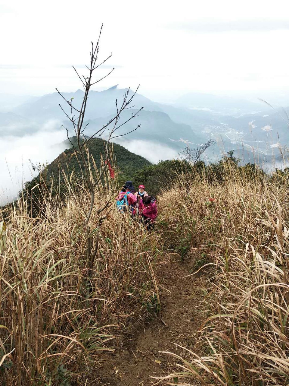 TbC8y61zGHPoGyP0KNKfQAA98ikCOg-PQiY74za0MtzMI63hwW1HLAstIO9xT3lU