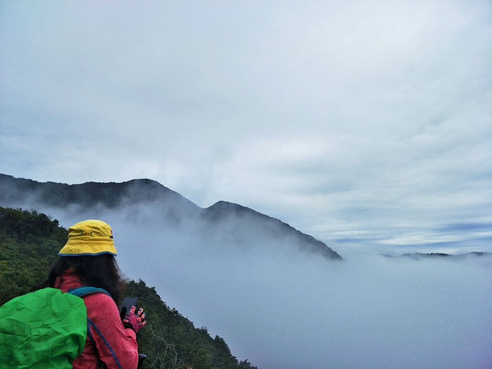 PIG460H1almBFRZylLxaicC3mKkXavt6AOGhrz7II6u78ArHoAjFsTaakk2LPy3_