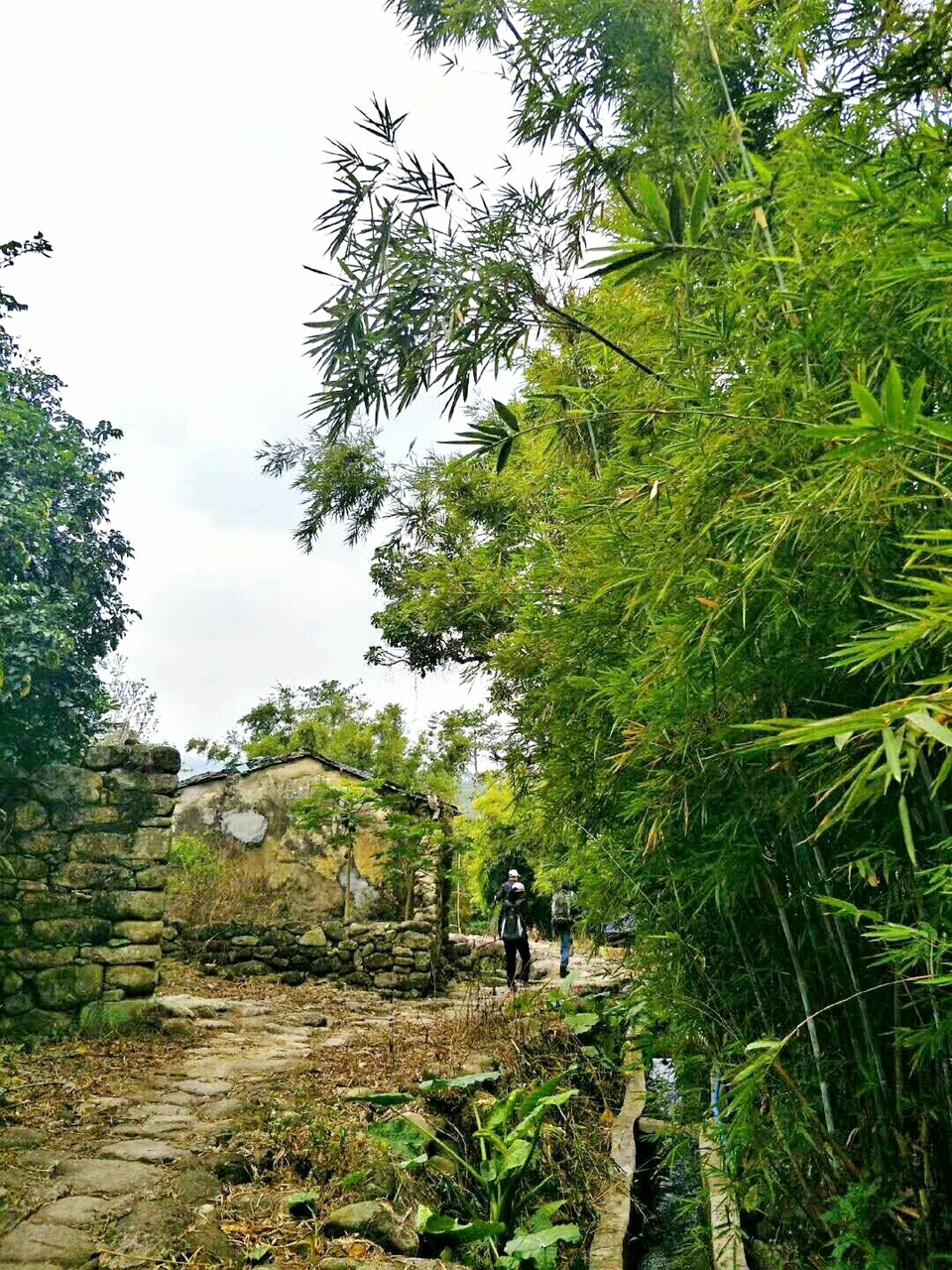 NsHV8iGp43UeiEIByGboV9tFCa6YYXQ9Dkt0gbfJaKPWMY40CqW7J6-0F2FTIyfZ