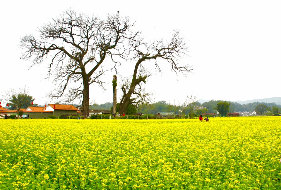 wcPNNSBe6uTOeZA0N7N3stoW_9uMz3oJ4z9MwxOuKOeVZlqe1QtiJbUun9YcvWFs