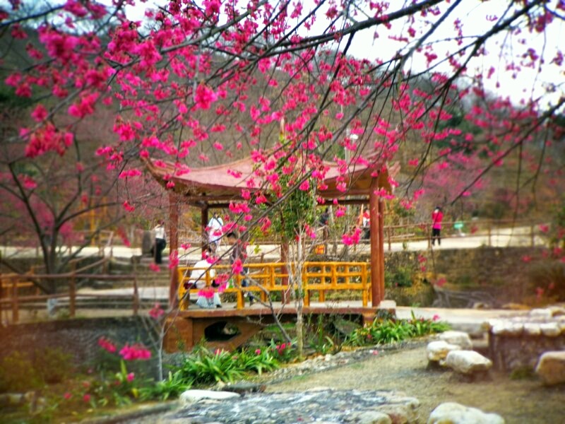 fHeWRB68fXKNnkGHaQ0edUz0EnS-sKZ2WZgjCdifUqGOCidGbtROrG6h5epC5aku