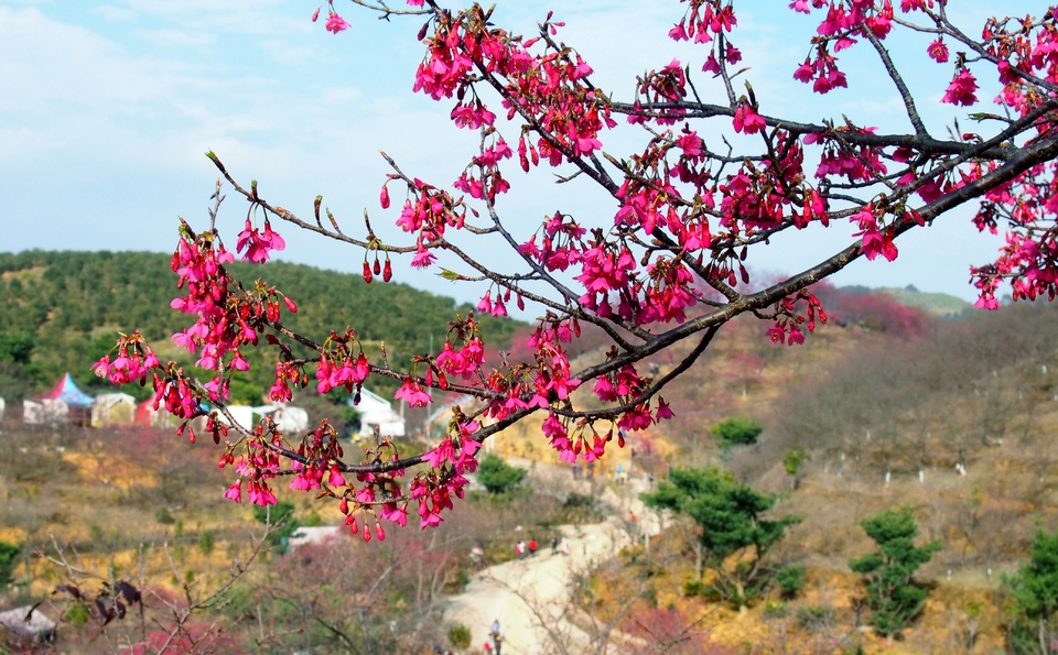 Mv9CR_0_W9hE-lumNPv4x1hnI7kkLNBWlVXRi2Fj5jtCQFhFWSokPtR9asYFUu7p