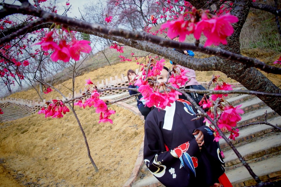 NdB7gATBAL4fTk4Mjpa8JbSn8rJzvXP8f65OL31YFEHbxGsumYAJ8sO-mLR79iNy