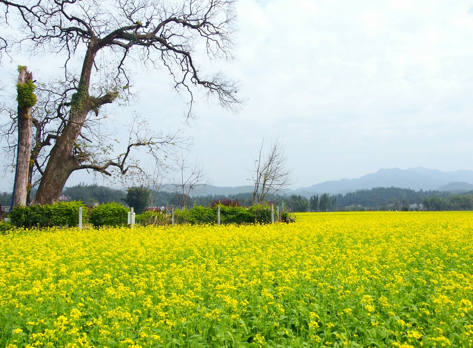 4ohafwzdwsHrHxwcuoCvIc8yHs-Bx7uC1nmpZ2YQSdzMW5HnkAg2kbn8hcY6tFD3