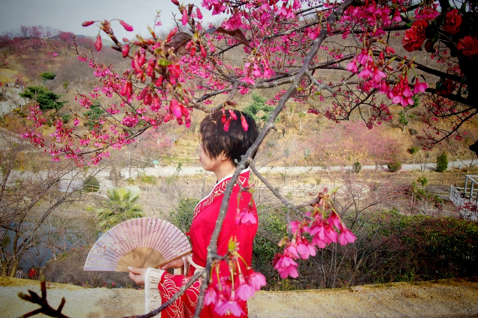 UKDkJ8RkNtuh0XbeTyH6iOI_tMDSZc1aTANvqO_dGupH7TpWAqIYLwIHdpp-AXUs