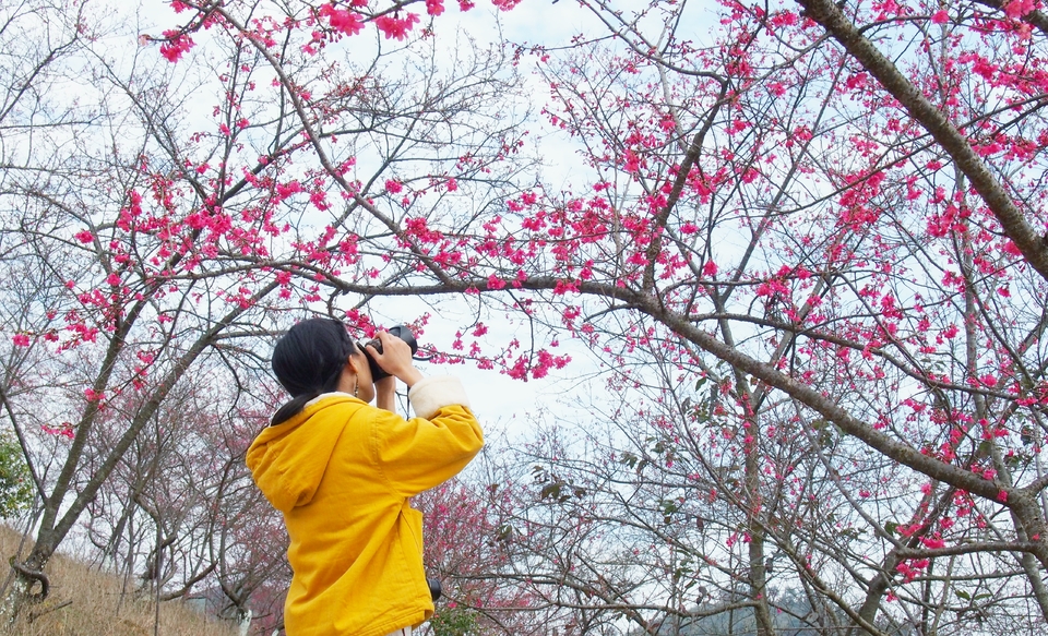 j12R4XRVmAb3WIOySR4oC1Ju939D79C7YXXO0htFyQWrRuo132WcwY1x4G7r-DZC