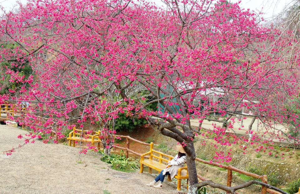 sygL783WsqJu3o0-u6fZT34fpqohmlu8bVX5NoGzRlRrBU--lvbm5OEguH3hvjd2