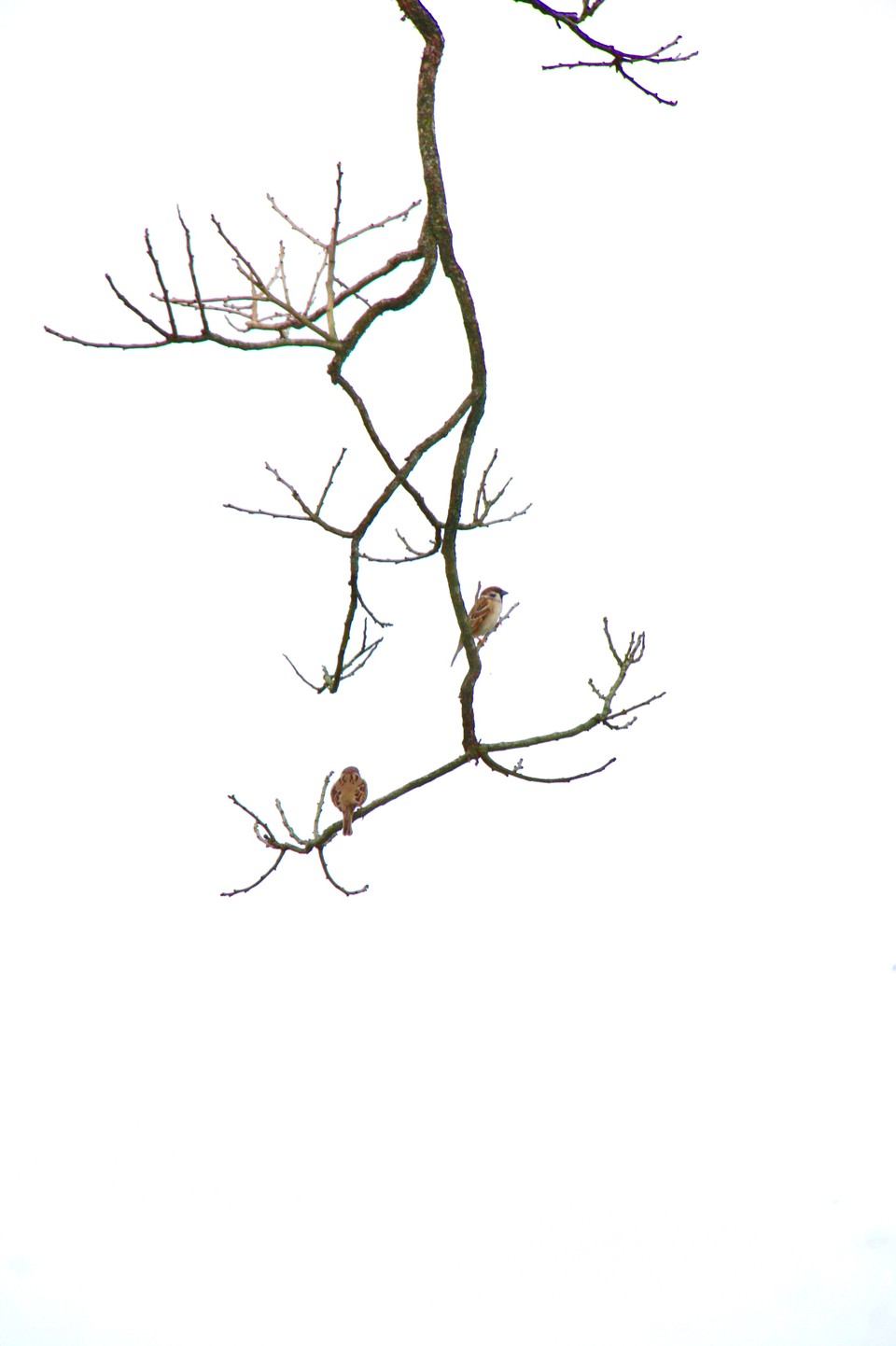 6ixj1mrLFriSrzuR_qNn8JLVti_0nIf2loYK9NqsbsImqQ9Le22Fj8n0zoYJiLRV