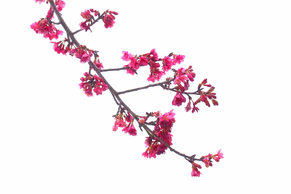 zE_NCJYadqSpl9jJEuyPAMjOgBcQmQO8OIW77CHhPA6V0ffnn_MFtg-hMQEi9QHc