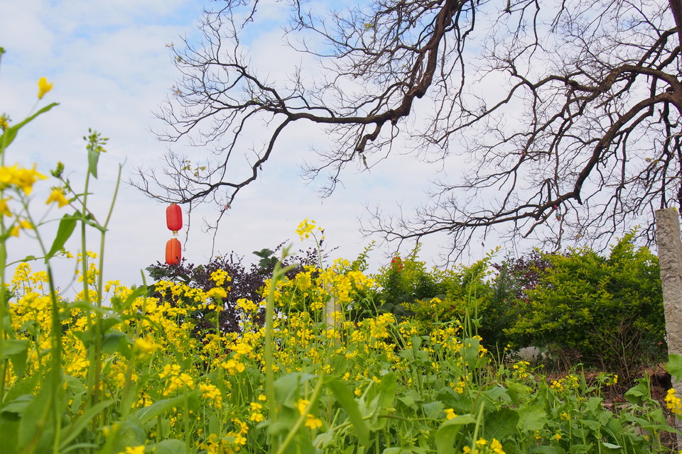 DtrVGIqN7XPTglyCkLku-wIaaXUyU_CFP0oOSRnXYe9e_oYNW3WnBhR3UMqwCnNv