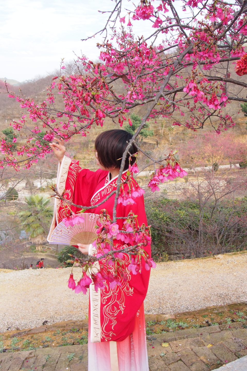 sygL783WsqJu3o0-u6fZT7ONT4rwNB8OZ88KgyhOaqBXDPKOxdbktIA250W1kA2n