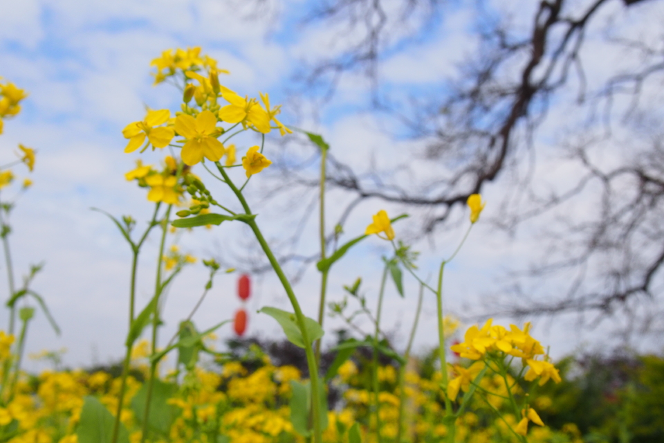 vK5S6cFqfYLd8c2sXAyfCsnnZJRe-5qOdkgoFrXqnNTwhytTWNBcO63lz2cr80Rj