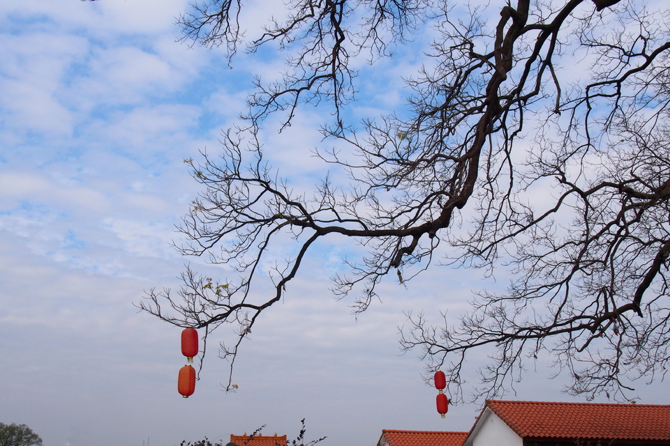 BpmEZ5cRPIllWAIH6A3Tcw8MJjD0AbxCIPkqy3kzSJY8XG1SLGhu5jk54gFt2Qhc