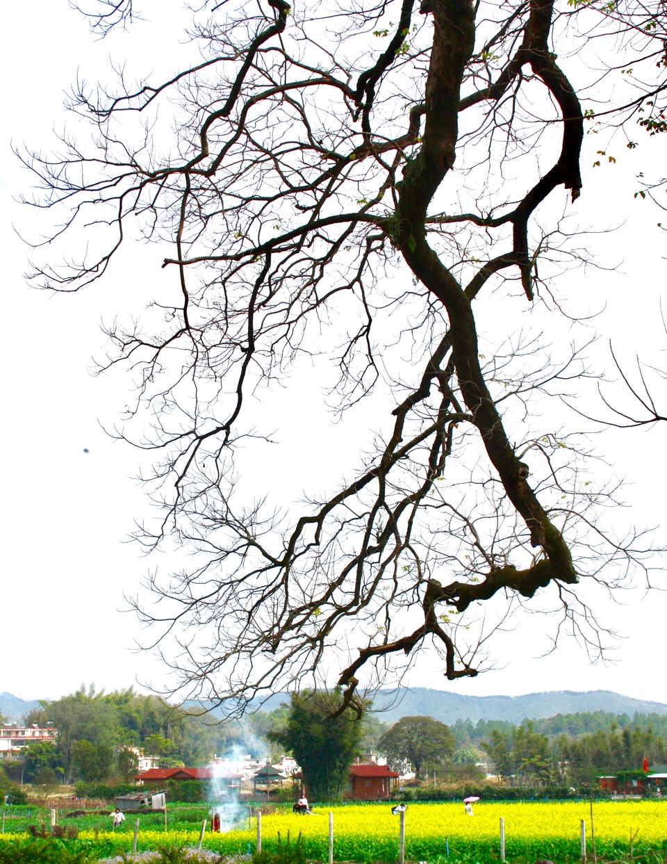 yM1hgKEemyoN0gHhXbiVZ7k9RlyMkvmfqse94T7UYnfui8_pPubZF74WIDH4hs7m