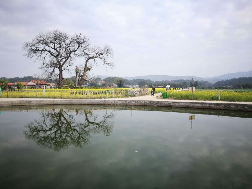 HV4CLNNy28aqY1mKdWcJ67WJZoGelbP2dm-X2neplarD1-piVTZfxv7uCJcftWEN