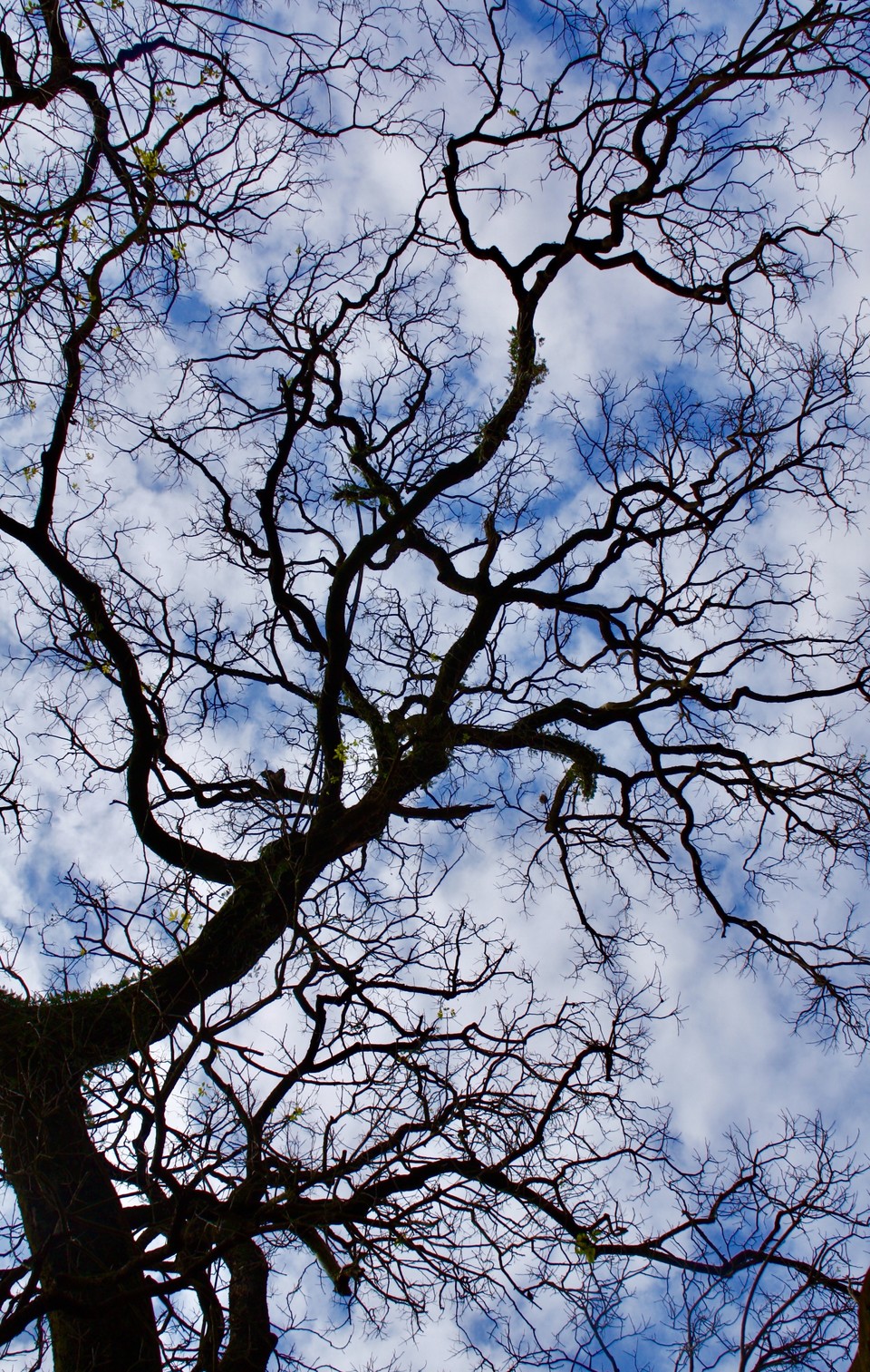 qM4NcSTO3rUAL6QPx8adei5X8KhvV6nplEM1g6qO_wLDJdOBlhGVBqhdJ_NzTgbT