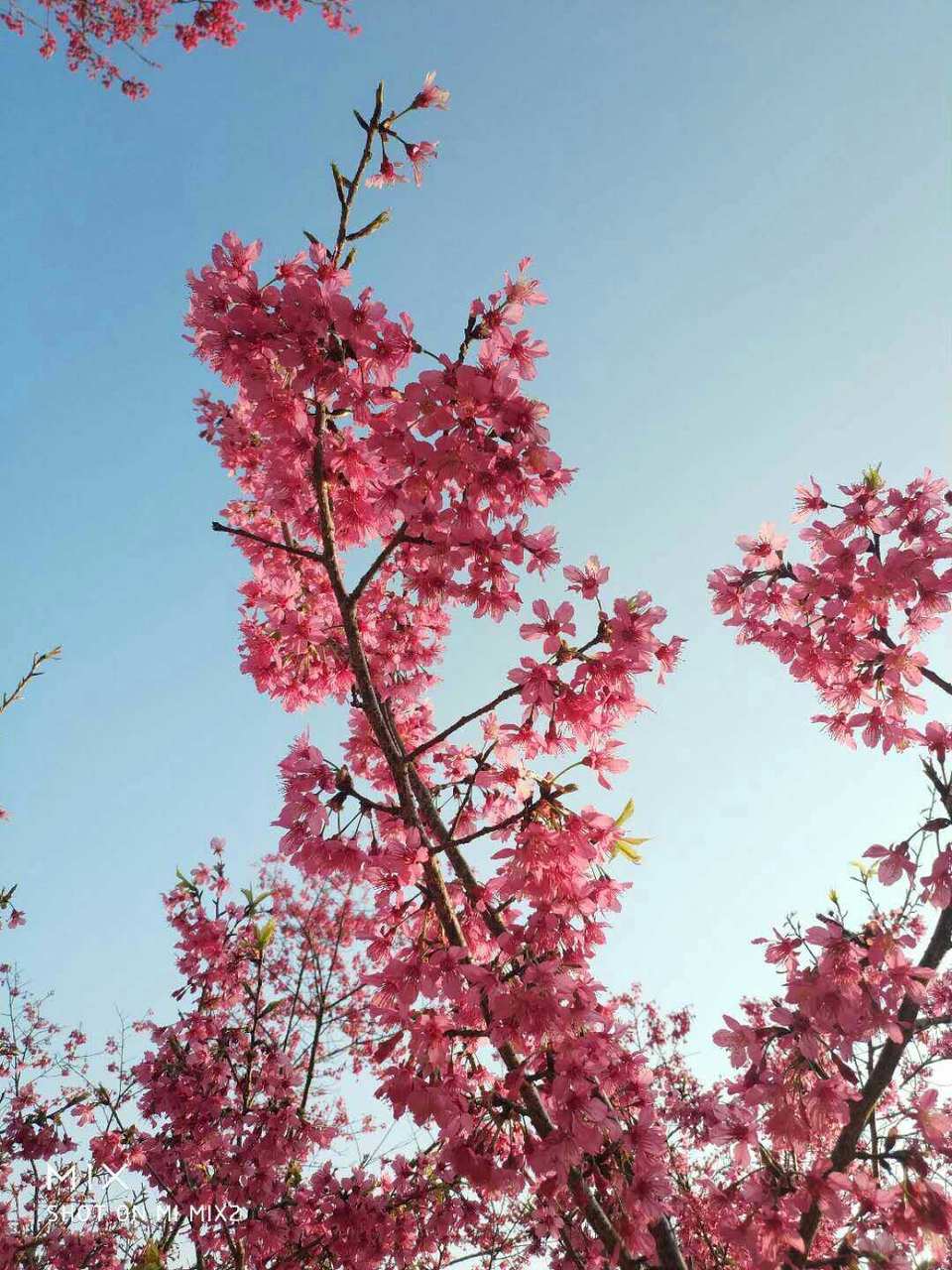 jd53jx2p_dNFNSlhudPHyKwLPOngfRLBQMot_4ZOAPiLxHVWI59gf1St8unZ3C5s