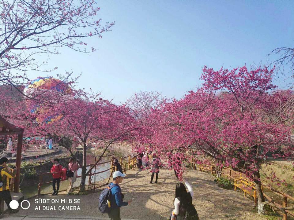 4u_tMnzgwmqvDMfNBpaeK9jnTu3HWbh-RAYvPuvI5zcKgpBZupI2oJcYXgrLknz4