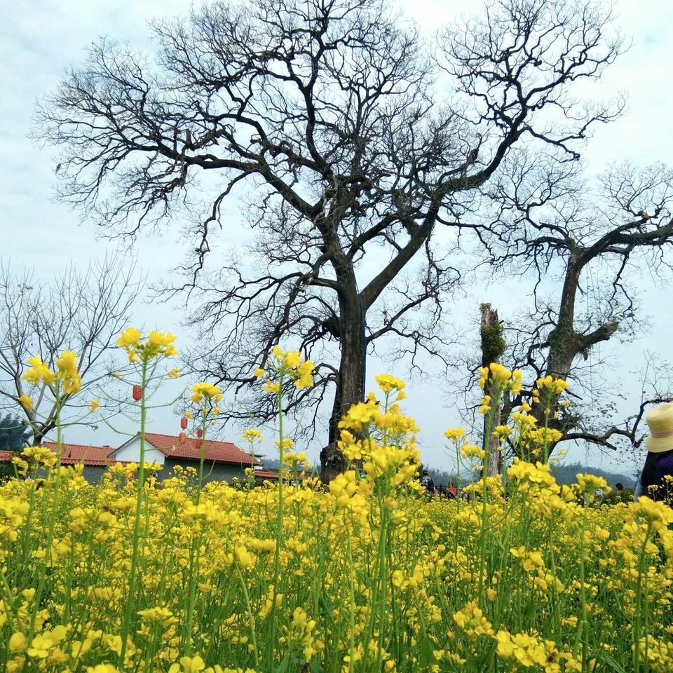 tSon1PoPQeHyC-RPnlp54jW7iB7iXpODy-wnduZ5g9rHfy1-XO8W-2wZIiLTs8Mj