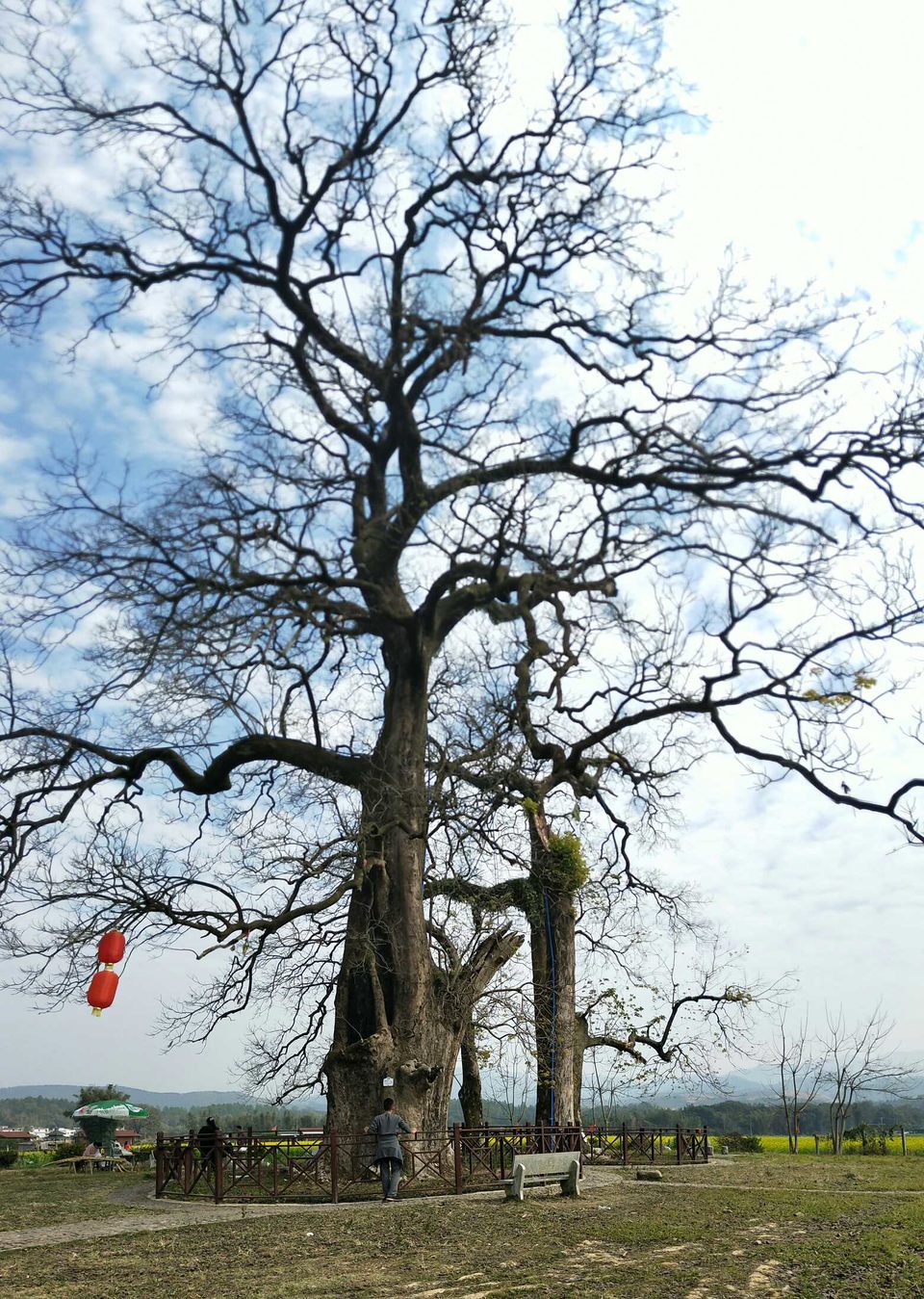 BdciP-oJu7RANSGoL_2J7PkWmuMDc06e-yZuPyyiWmclT8CVzPRvRvPuXmfLP6oH