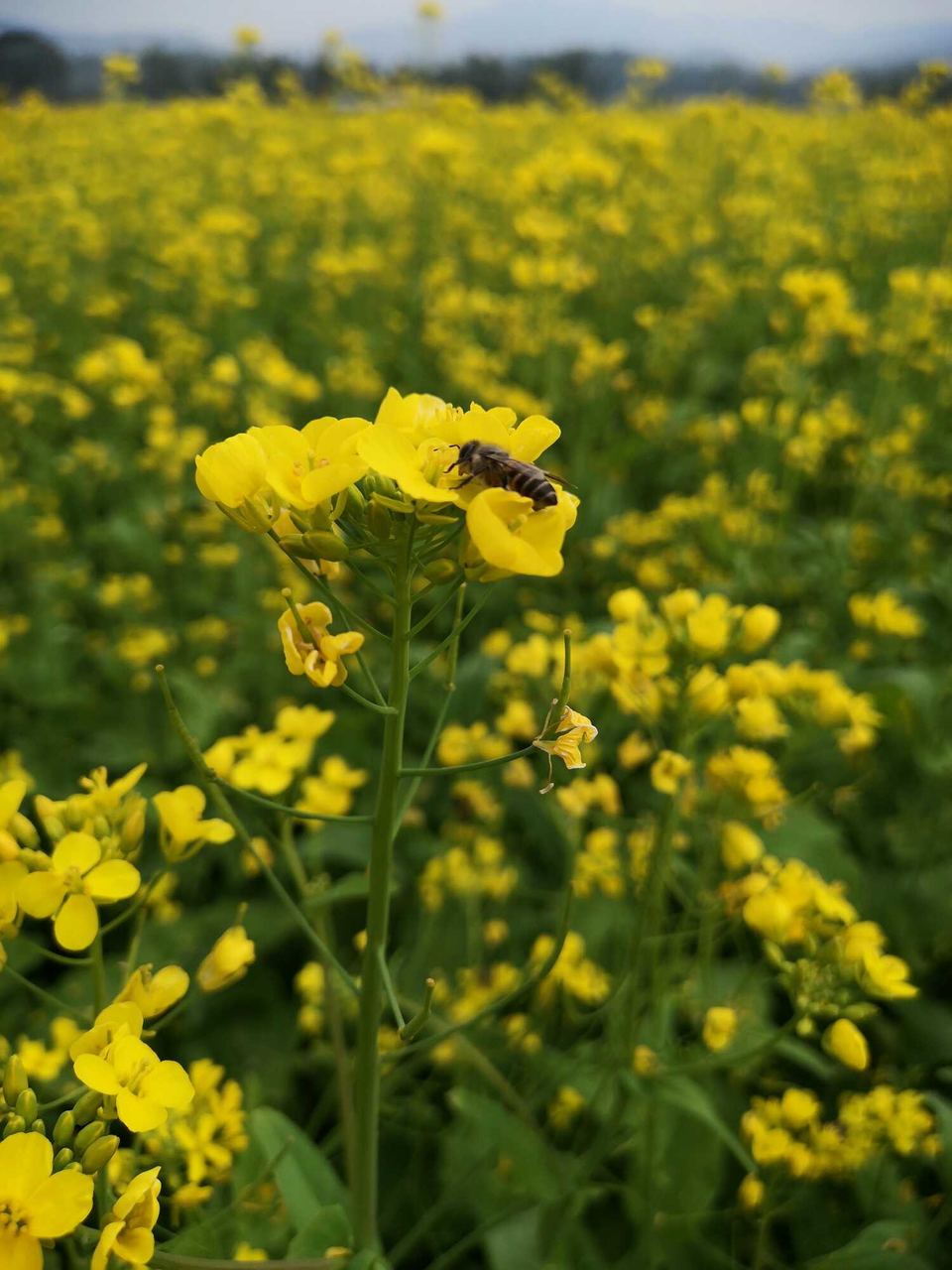 3fAT5d1aL9vDBIrDoCpfMH4SkIXcVYdwe3B1pYIqbAPQprM8Jn9er-Q3UGcGWSNN