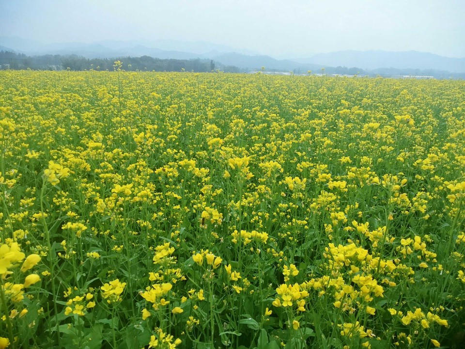 lIB22VlQSvlwQIl8Dtf8yCnJDl_ZxyJX5w6Sv9rM9n8ppra6KF7aIszie5WJ4i25