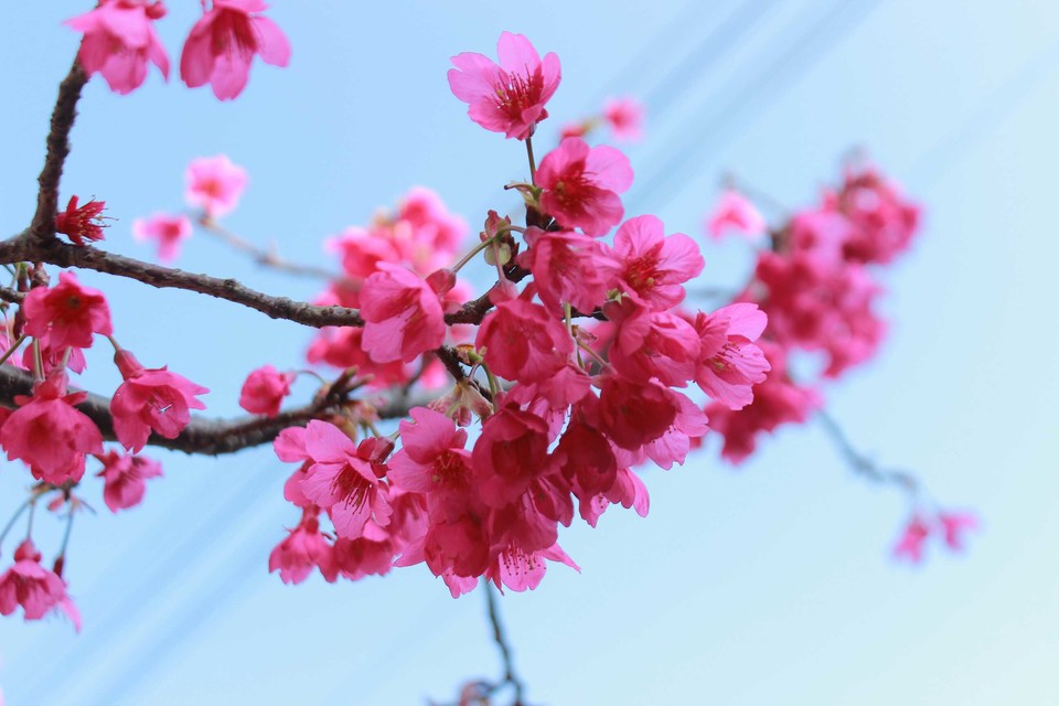 1I7AM_nWk-cWe8mjCTFRzyMsqrFWU_kPsE4oZEeF-PG9flYHeI__ho30VKtS7N_f