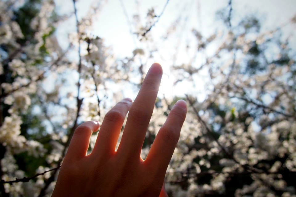 0WJJ6U7nfXqYmpOdRzPV_KnaUiUy1PwG8w0aZdiG-rDpXyU0ontVARAII1Ie_21B