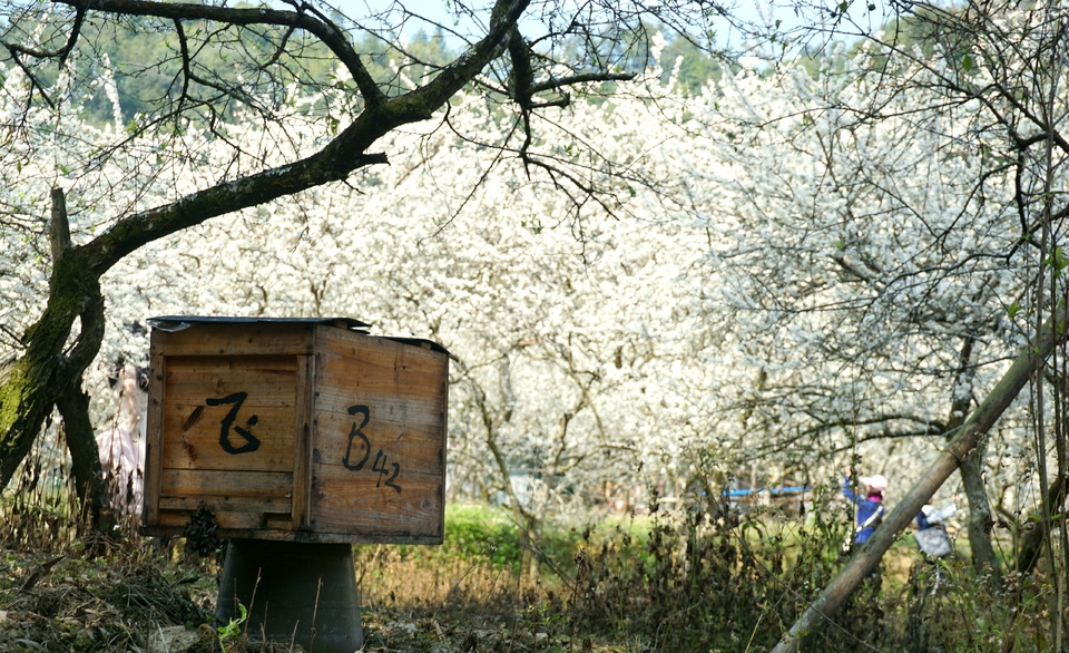 hlZ1AVXLlQHZ9AfV4s4f5TqmurJ8sNWQaZP_oQZ1bp5moj0VFIsNvfMPChYLeh61