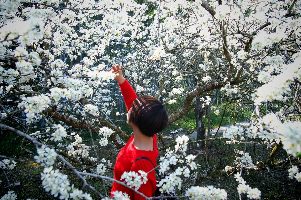 WD22kFg9qYdj9j9J-LjCqF6H7Gcwvxm2LhsW825WEGo4cxGxs0bBFQDEOpb5qKdc