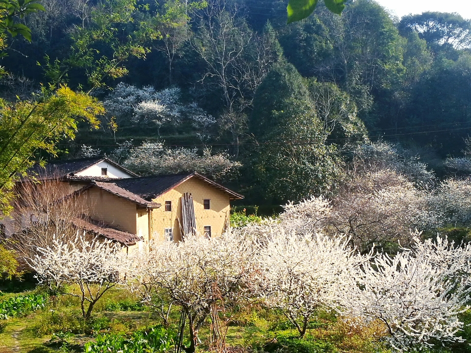 tgP4CmFdRlRXG28B7TMIFvaSuKnHhnadQfbKet_-LXijDP893tkXb_7etNk92o47