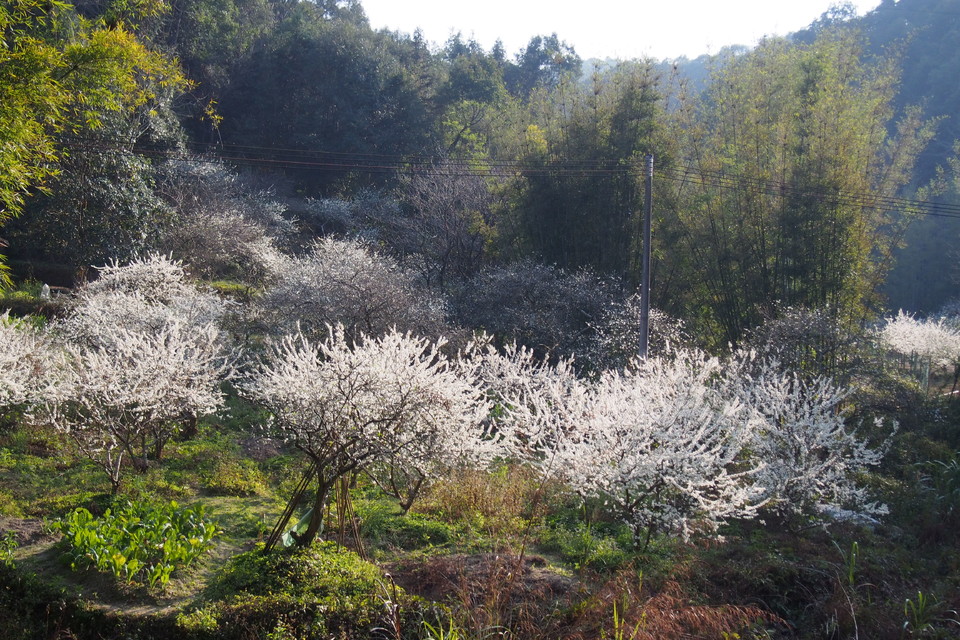 W7ZAgqWC-UdK77QHdOVpchIM730fVFy7CyGEh10yMttiGVNAwxWbpMF5fZAHrVXC