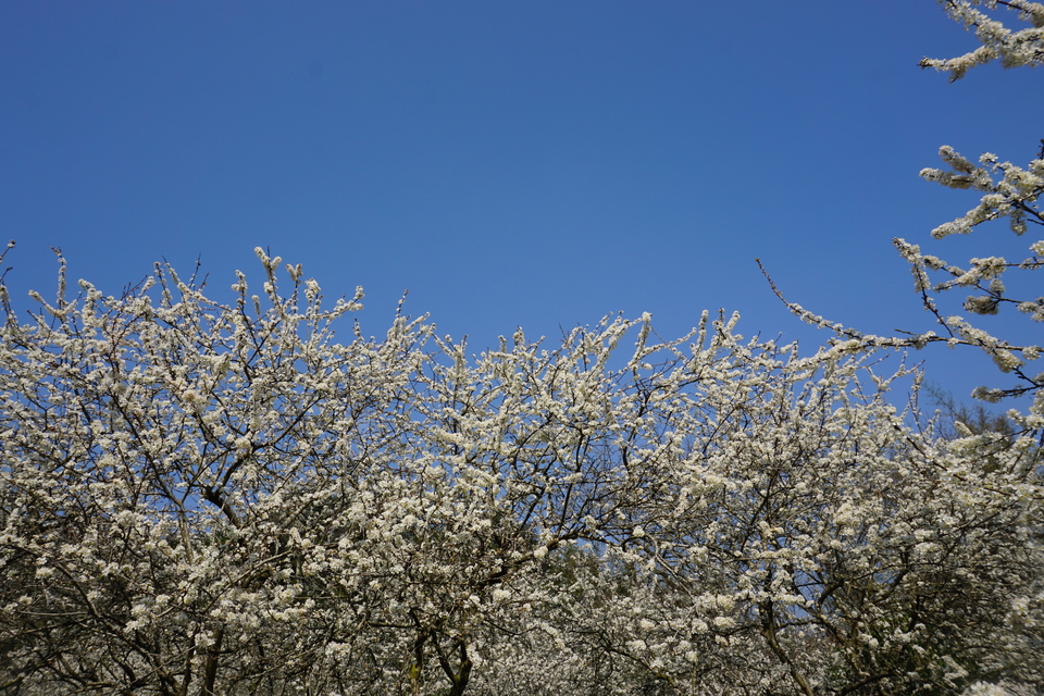 nCQkmZ5X_dSvE1xrxufJt8pKtc_dxZrkXlVhbI3CrJKoX22QcqqHeF6Oy-AYYb2l