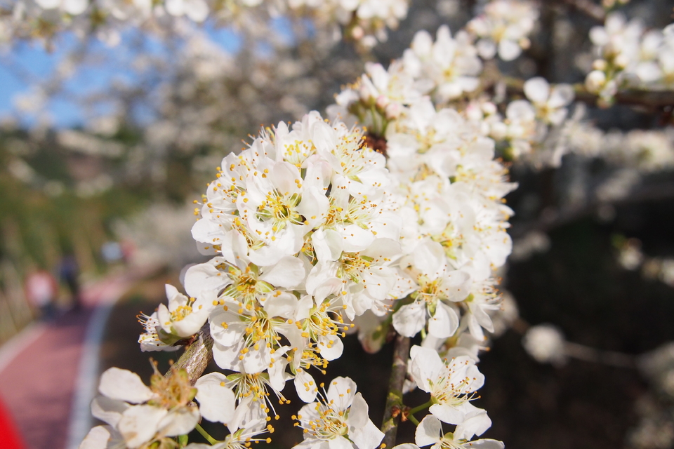 BuXwxAkUHRgoDPMTxBJnVhKvfo3uQoOhvx7mJYg0aYWboPiTEEQqsdj6ZrSpdQZ2