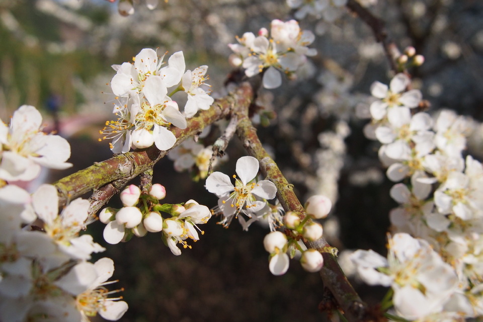 W09ggnUdC2OZ09AO6Qh0tr7ILnmviZjYRjbvCf6z7c2AHKZ2pawyZ9zLsbf44GVA