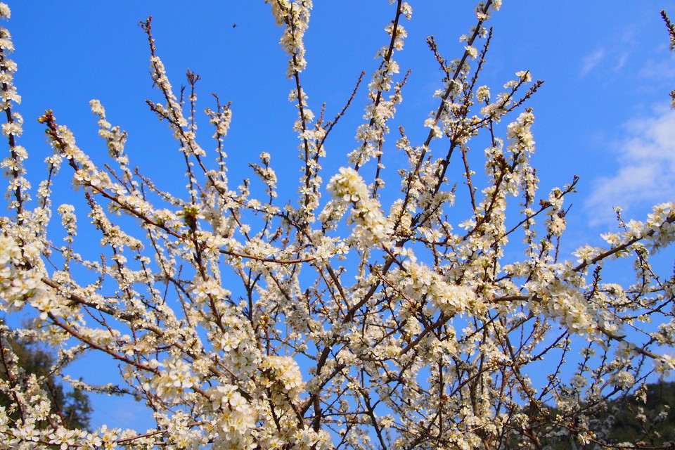 1F675ZdVunt5hVVn9scMBiyyKmqV47WzHu5Tt5VWORGLv5lHrXLxsytVPQHYpQ8C