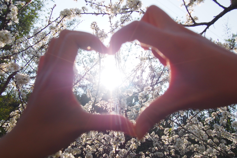 cDeXOARcw9xokHiIJgo7eUs2kxAQp4T1bspGSIDu7gKaTlTZSA9cOcwjs-Ad0cUl